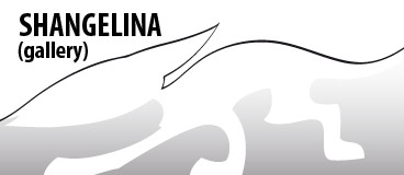 shangelina logo